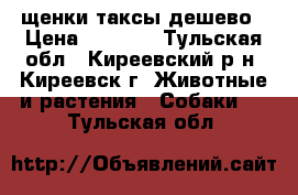 щенки таксы дешево › Цена ­ 1 000 - Тульская обл., Киреевский р-н, Киреевск г. Животные и растения » Собаки   . Тульская обл.